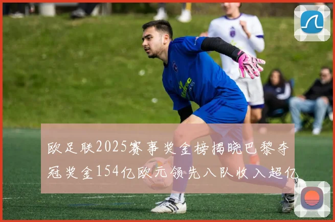 欧足联2025赛事奖金榜揭晓巴黎夺冠奖金154亿欧元领先八队收入超亿