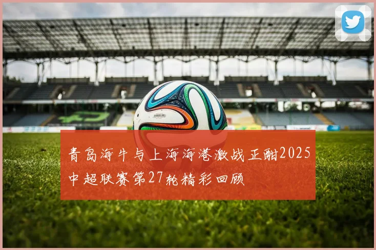 青岛海牛与上海海港激战正酣2025中超联赛第27轮精彩回顾