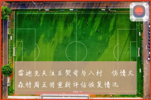 雷迪克关注东契奇与八村塁伤情文森特周五将重新评估恢复情况