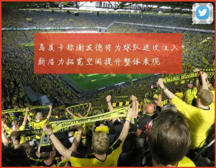 乌度卡称谢泼德将为球队进攻注入新活力拓宽空间提升整体表现