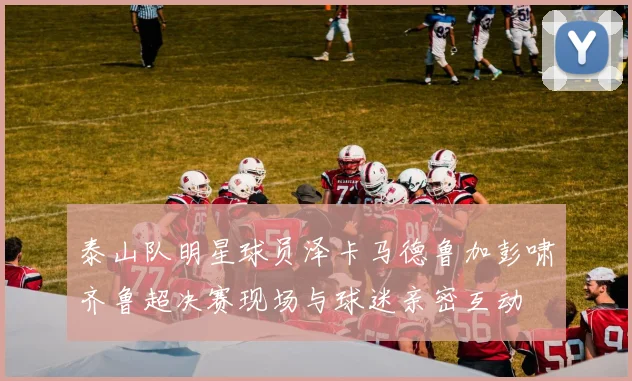 泰山队明星球员泽卡马德鲁加彭啸齐鲁超决赛现场与球迷亲密互动
